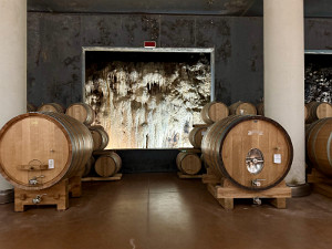 Europe 2024 Picks - 28 of 55